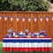 Beistle 12ft. Spirit of America Pennant Banners, 2ct.